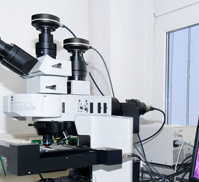 Global Automatic Cell Imaging System Market 2019-2023
